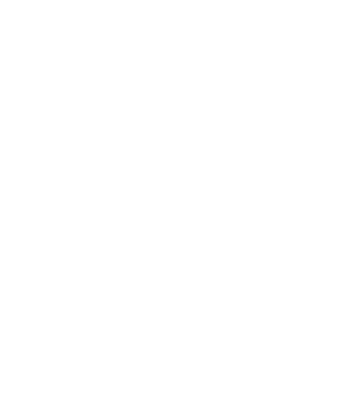 UBC TSA Logo